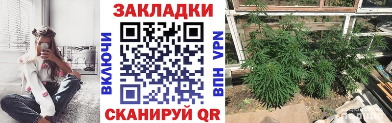 Что такое Элиста КОКАИН  Амфетамин  OMG зеркало  A-PVP  Мефедрон 