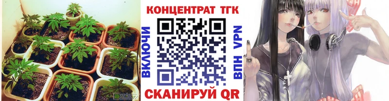 где можно купить   мега ссылки  Дистиллят ТГК THC oil  Элиста 
